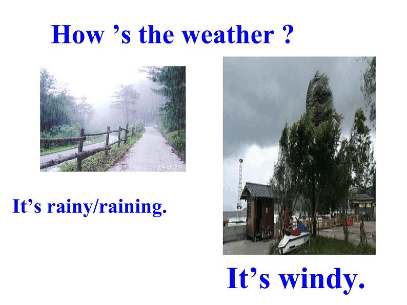 Unit7It 'srainingSectionA(1a-2c)课件人教版英语七年级下册第3页