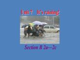 Unit7SectionB2a-2c课件人教版英语七年级下册