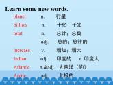 lesson 38 The World Is a Big Place课件PPT