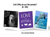 人教版七年级下册Unit5 sectionA1a-2d课件PPT