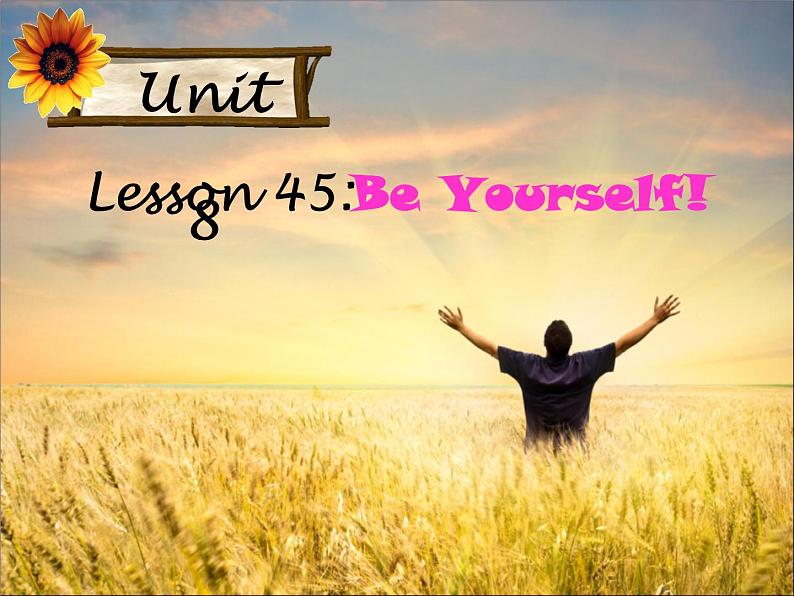 初中英语 冀教2011课标版 八年级上册 Lesson 45 Be Yourself 课件第2页