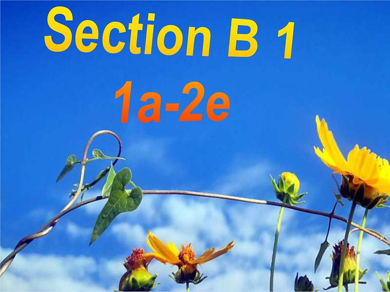 初中英语 人教2011课标版 九年级 Section B 1a—1e Unit 14 课件02