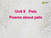 牛津译林版七下英语Unit 8 Pets Reading 1课件
