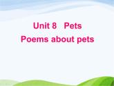 牛津译林版七年级英语下册 Unit 8 Pets Reading 1课件