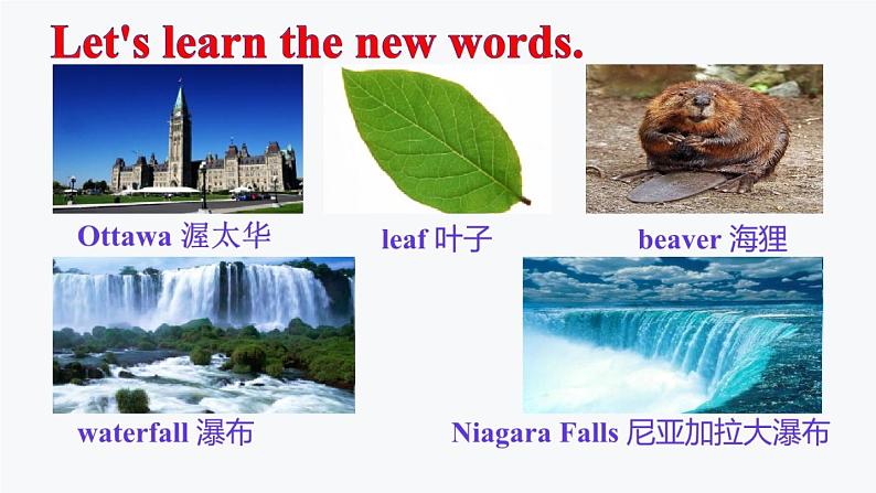 初中英语冀教版7A Lesson46 Canada and The U S部优课件第4页