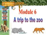 外研版七年级上册Module 6精品课件+音频+视频