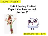 初中英语科普版（仁爱）8B Section C 《unit5 feeling excited topic1 you look excited》部优课件