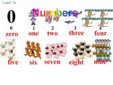 外研版七年级英语上册 Starter Module 2 My English lesson Unit 2课件