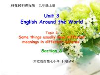 初中英语仁爱科普版九年级上册Topic 2 Some things usually have different meanings in different cultures.课堂教学ppt课件