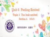 初中英语科普版（仁爱）8B Section A Unit5 Topic 1 Section A 2&3部优课件