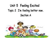 初中英语科普版（仁爱）8B unit5 feeling excited topic2 i'm feeling better now Section A部优课件