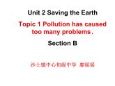初中英语科普版（仁爱）9A Unit2 saving the earth Topic1 pollution has caused too many problems SectionB部优课件