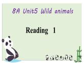 初中英语牛津译林版8A Reading1 Giant pandas Unit5部优课件