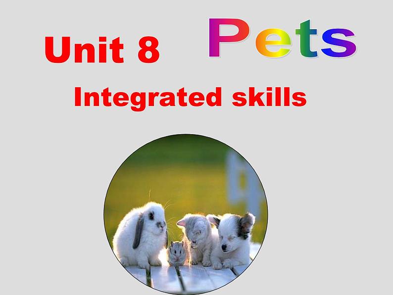 初中英语牛津译林版7B Integrated skills Unit8部优课件01