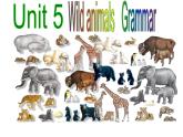 初中英语牛津译林版8A Grammar Using may for possibility & using verbs + to-infinitives Unit5 Wild animals Grammar部优课件