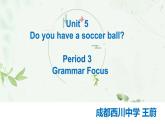 初中英语人教版7A Section A Grammar focus 3a—3c Unit5 do you have a soccer ball 部优课件