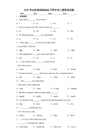 2022年山东省济南市历下区中考二模英语试题(word版含答案)