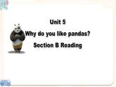 人教版七年级下册 Unit5 Why do you like pandas？SectionB课件PPT