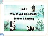 人教版七年级下册 Unit5 Why do you like pandas？SectionB课件PPT