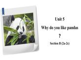 人教版七年级下册 Unit5 Why do you like pandas？SectionB课件PPT