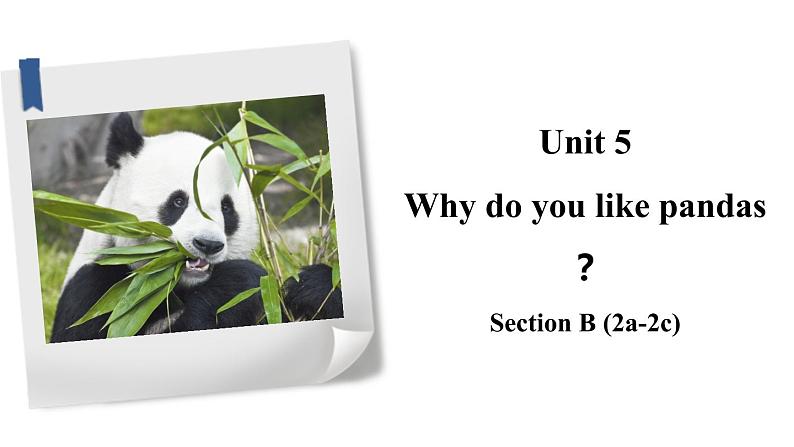 人教版七年级下册 Unit5 Why do you like pandas？SectionB课件PPT01