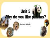 人教版七年级下册 Unit5 Why do you like pandas？SectionB课件PPT