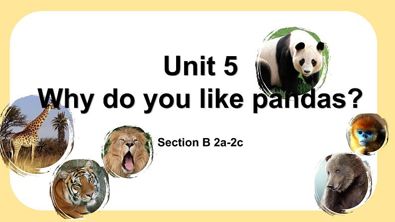 人教版七年级下册 Unit5 Why do you like pandas？SectionB课件PPT01