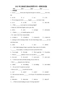 2022年云南省玉溪市红塔区中考一模英语试题(word版含答案)