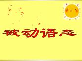 2022年牛津深圳版中考英语复习专题---被动语态课件