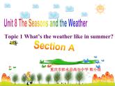 仁爱版英语七年级下册Unit 8 Topic 1 Section A课件PPT
