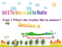 初中仁爱科普版Topic 1 How is the weather in winter?教课内容课件ppt