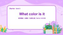 人教新目标 (Go for it) 版七年级上册Unit 3 What color is it ?教案配套ppt课件