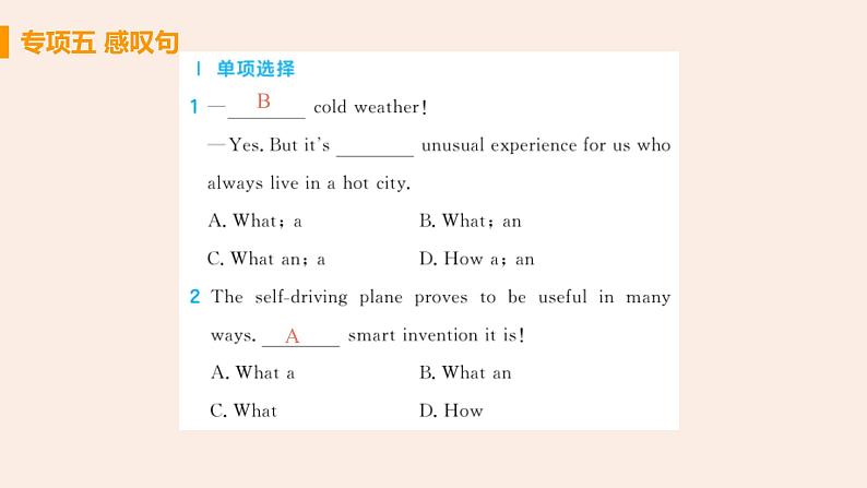 人教版英语九年级  专题五 感叹句  课件PPT02