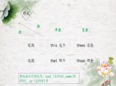 第十一讲 指示代词.课件PPT
