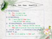 第十一讲 指示代词.课件PPT