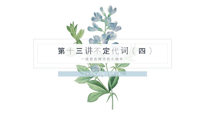 第十三讲 不定代词（四）课件PPT第1页