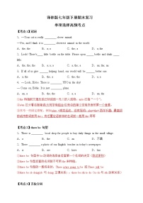 译林版七年级下册期末高频考点讲解-单选部分学案