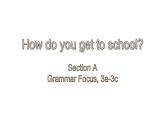 Unit3 Section A Grammar Focus,3a-3c 课件 2021-2022学年人教版七年级英语下册