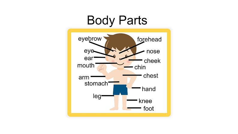 Unit 1 Section A 1a–2d, 4a, 4b  课件 2021-2022学年人教版八年级英语下册第3页