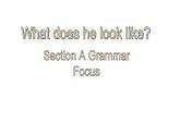Unit 9 Section A Grammar Focus 课件 2021-2022学年人教版七年级英语下册