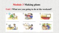 初中英语外研版 (新标准)七年级下册Module 3 Making plansUnit 1 What are you going to do at the weekends?授课ppt课件