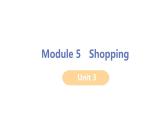 2020-2021学年外研版英语七年级下册Module5Unit3课件