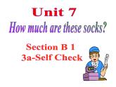 Unit 7 How much are these socks_ Section B（3a-selfckeck）课件14张