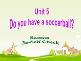 Unit 5 Do you have a soccer ball_ Section B 3a-Self Check课件25张
