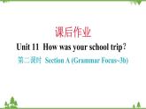 Unit 11 How was your school trip？-Section A (Grammar Focus_3b)课件（共有PPT20张）