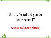 Unit 12 What did you do last weekend-Section B 3a-Self Check 3课件(共19张PPT)