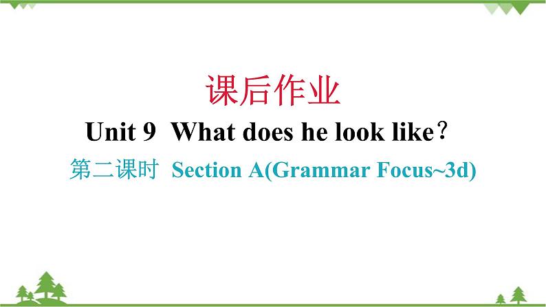 Unit 9 What does he look like？Section A(Grammar Focus_3d)课件（共有PPT19张）01