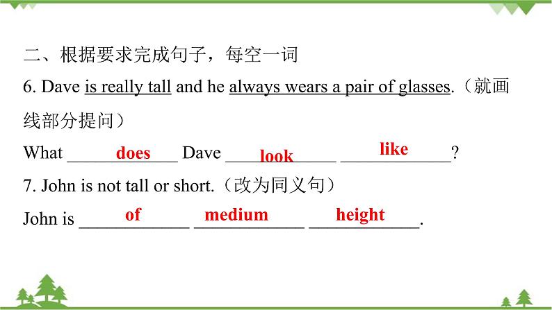 Unit 9 What does he look like？Section A(Grammar Focus_3d)课件（共有PPT19张）04