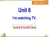Unit 6 I'm watching TV-Section B 3a-Self Check 课件(共20张PPT)