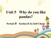 Unit 5 Why do you like pandas？第4课时Section B 3a-Self Check课件(共14张PPT)